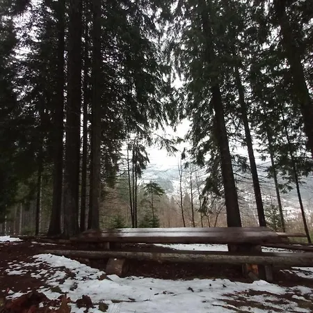 Lodge на горі *