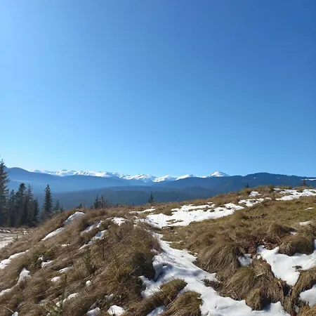 на горі Lodge *